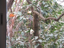 IMG_0025.JPG