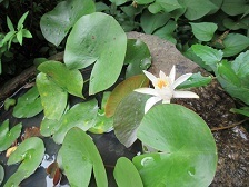 IMG_1143.JPG