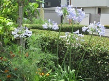 IMG_1169.JPG