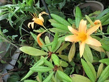 IMG_1450.JPG