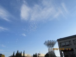 IMG_4710.JPG