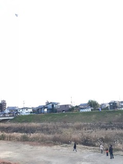 IMG_6364.jpg