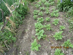 IMG_6769.JPG